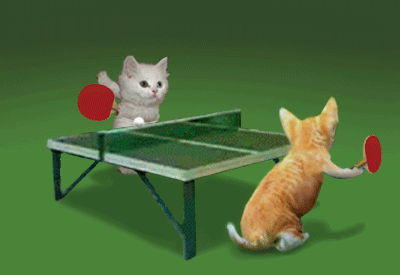 cats_ping_pong.gif